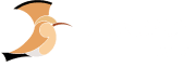 Hoopoe Digital Logo